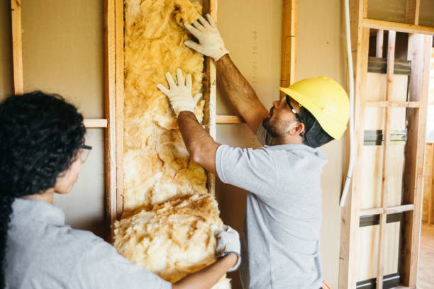 Best Wall Insulation Installation  in Oak Hill, FL